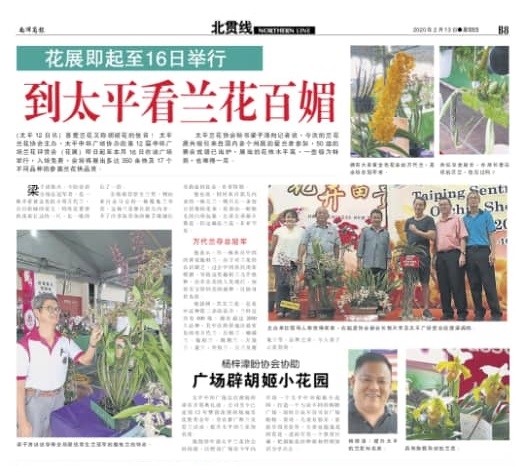 Taiping Orchid Show 2020